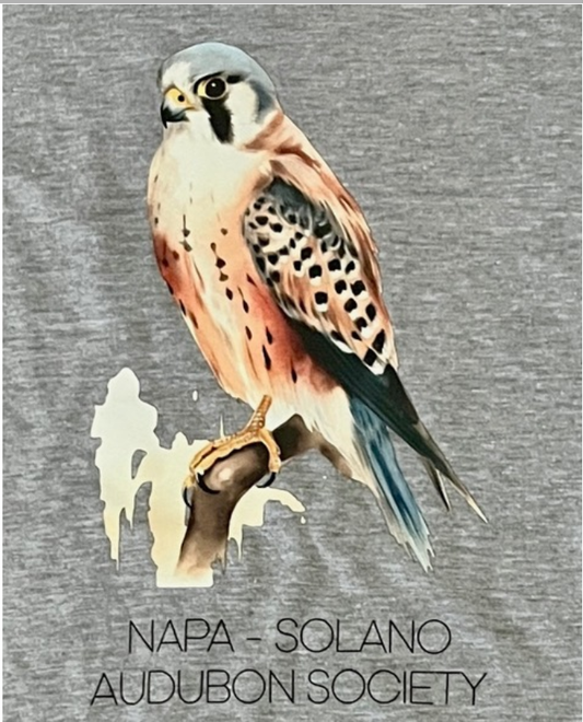 NSAS American Kestrel T-Shirt